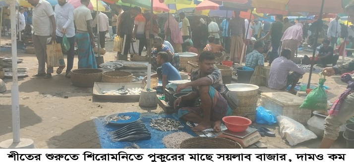 শীতের শুরুতে শিরোমনিতে পুকুরের মাছে সয়লাব বাজার, দামও কম
